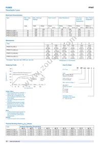 PFMT.013.250.A.2 Datasheet Page 2