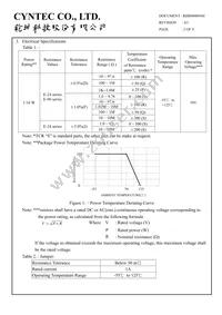PFR05S-101-FNH Datasheet Page 2