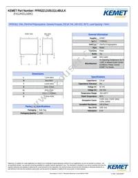 PFR5221J100J11L4BULK Datasheet Cover