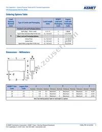 PFR5221J630J11L4BULK Datasheet Page 2