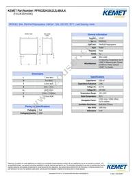 PFR5332H100J12L4BULK Datasheet Cover