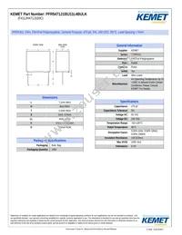 PFR5471J100J11L4BULK Cover