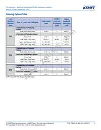 PHE844RR7100MR06L2 Datasheet Page 2