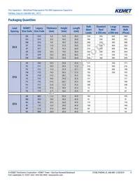 PHE844RR7100MR06L2 Datasheet Page 11