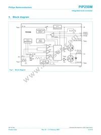 PIP250M Datasheet Page 2