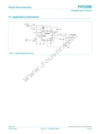 PIP250M Datasheet Page 11