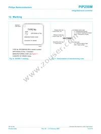 PIP250M Datasheet Page 12