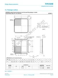 PIP250M Datasheet Page 13