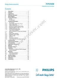 PIP250M Datasheet Page 19