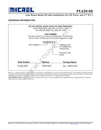 PL620-00DC Datasheet Page 7