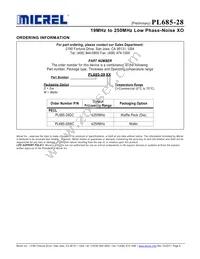 PL685-28DC Datasheet Page 6