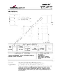 PM-10R0H504-1 Datasheet Page 2