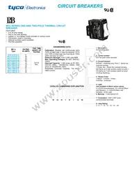 PM-17DY-24 Datasheet Page 21