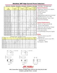 PM13560S-100M Datasheet Cover