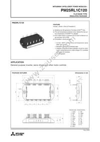 PM25RL1C120 Datasheet Cover