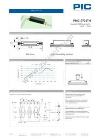 PMC-0701TH1015 Datasheet Page 2