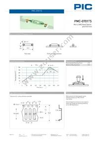 PMC-0701TS1015 Datasheet Page 2