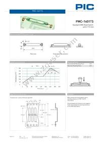 PMC-1401TS1015 Datasheet Page 2