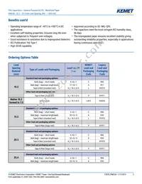 PME261JB5220KR30 Datasheet Page 2