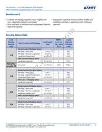 PME271Y447MR19T0 Datasheet Page 2