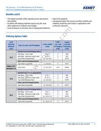 PME271YB5100MR30 Datasheet Page 2