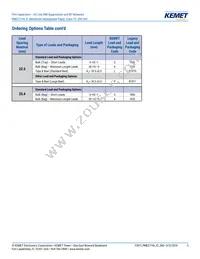 PME271YB5100MR30 Datasheet Page 3