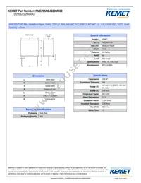 PME295RB4220MR30 Datasheet Cover