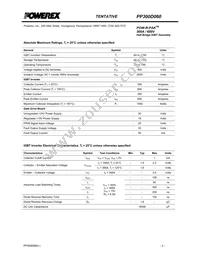 PP300D060 Datasheet Page 2