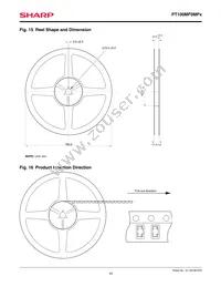 PT100MF0MP1 Datasheet Page 10