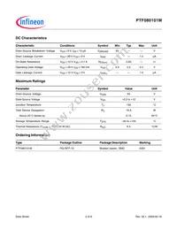 PTF080101M V1 Datasheet Page 2