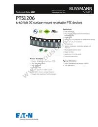 PTS12066V200 Cover