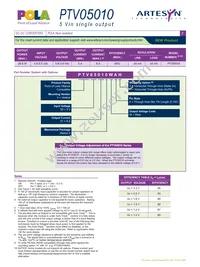 PTV05010WAH Datasheet Page 2