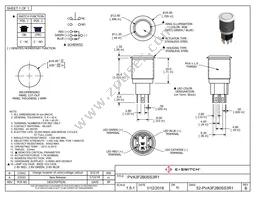 PVA3F2B0SS3R1 Datasheet Cover