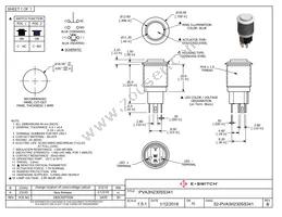 PVA3H230SS341 Datasheet Cover