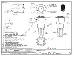 PVA6LRE21131 Datasheet Cover