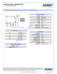 PZB300MC13R30 Datasheet Cover