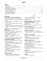 Q32M210F08ALNA Datasheet Page 2