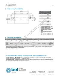 Q48S30015-PS0V Datasheet Page 13