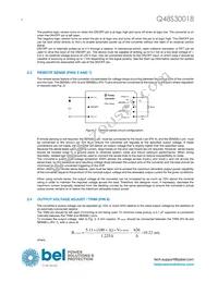 Q48S30018-NS00G Datasheet Page 4