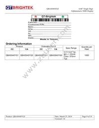 QBASS40YG0 Datasheet Page 9