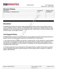 QBASS40YG0 Datasheet Page 10