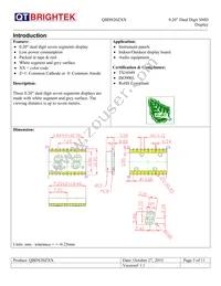 QBDS200R Datasheet Page 3