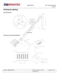 QBDS200R Datasheet Page 9