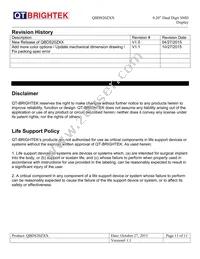 QBDS200R Datasheet Page 11