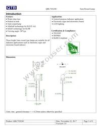 QBL7O30C Datasheet Page 3