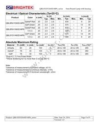 QBL8RAYA60D-MP6 Datasheet Page 4