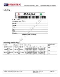 QBL8RAYA60D-MP6 Datasheet Page 8