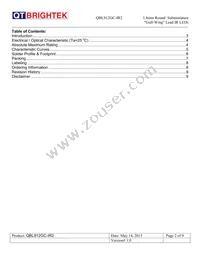 QBL912GC-IR2 Datasheet Page 2