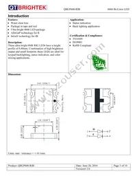 QBLP600-RIB Datasheet Page 3