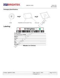 QBLP613-RIG Datasheet Page 10